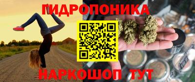 прущие крисы Апшеронск