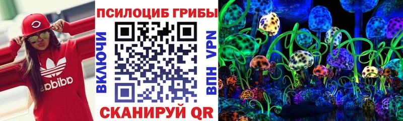 купить наркоту  omg сайт  Галлюциногенные грибы Magic Shrooms  Новочебоксарск 