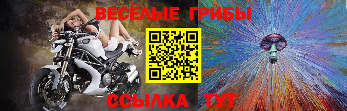 Псилоцибиновые грибы Magic Shrooms Новочебоксарск