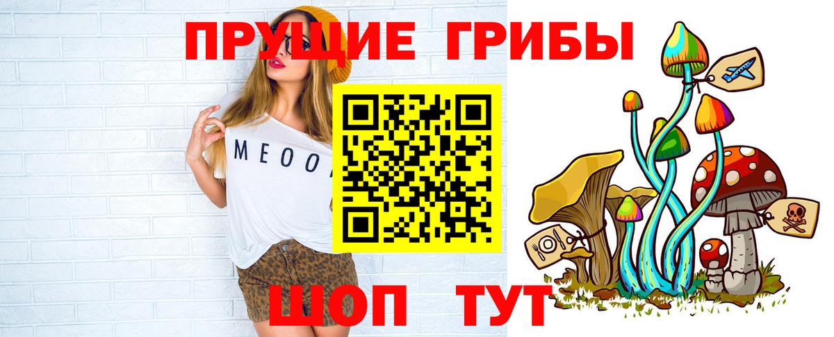 что такое   Новочебоксарск  Галлюциногенные грибы ЛСД  Псилоцибиновые грибы Cubensis 